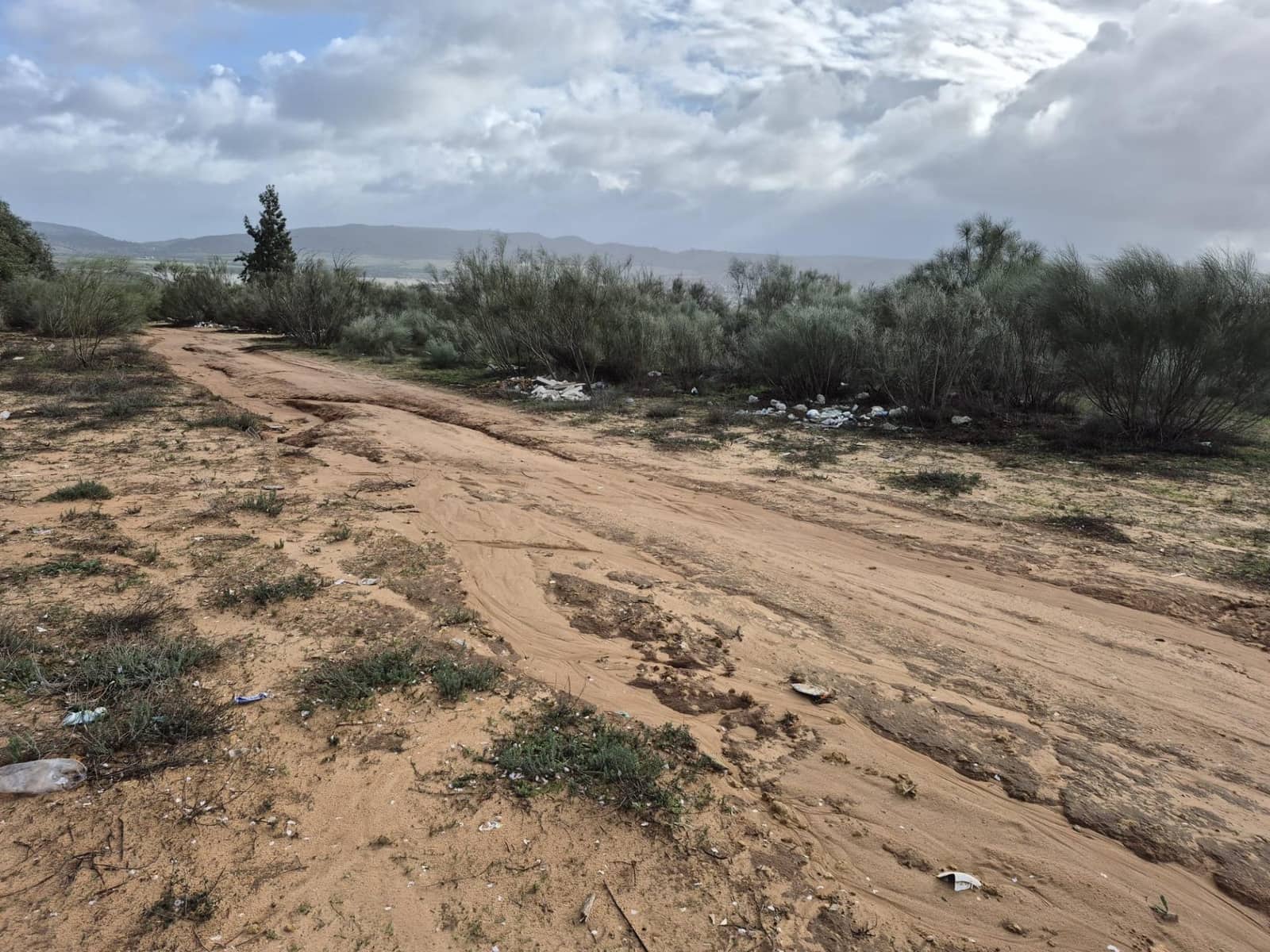 Undeveloped Land for sale in Arcos de la Frontera - € 350,000 (Ref: 9596391)