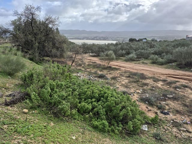 Terre non Aménagée à vendre à Arcos de la Frontera - 350 000 € (Ref: 9596391)
