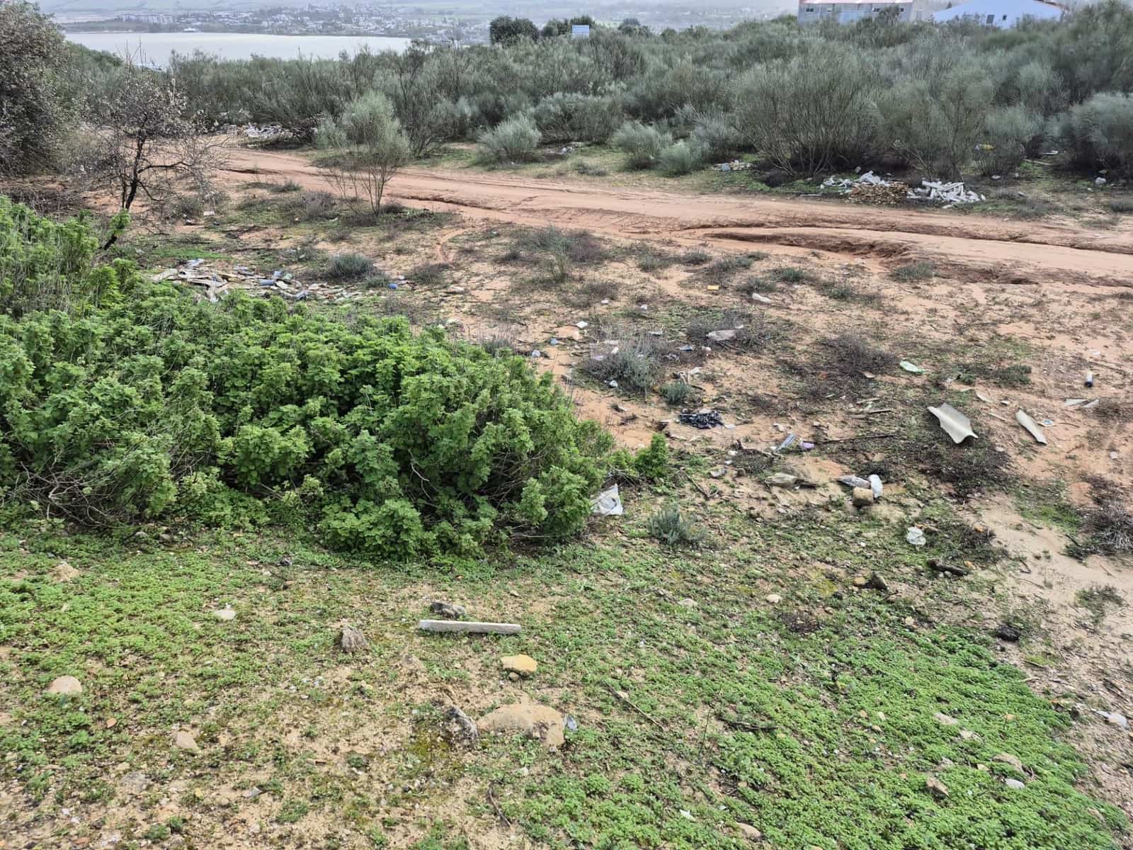 Undeveloped Land for sale in Arcos de la Frontera - € 350,000 (Ref: 9596391)