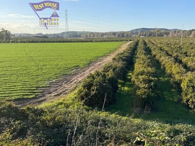 Undeveloped Land for sale in Arcos de la Frontera - € 260,000 (Ref: 9652205)