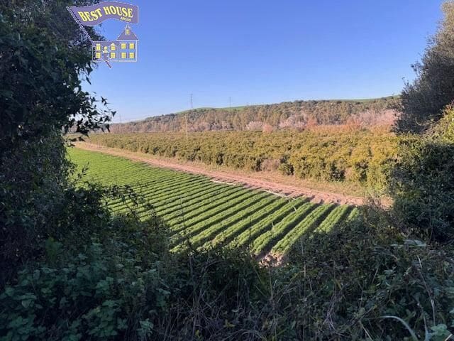 Undeveloped Land for sale in Arcos de la Frontera - € 260,000 (Ref: 9652205)