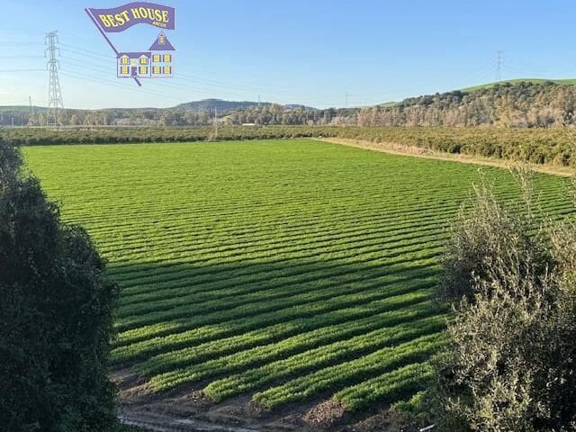 Undeveloped Land for sale in Arcos de la Frontera - € 260,000 (Ref: 9652205)