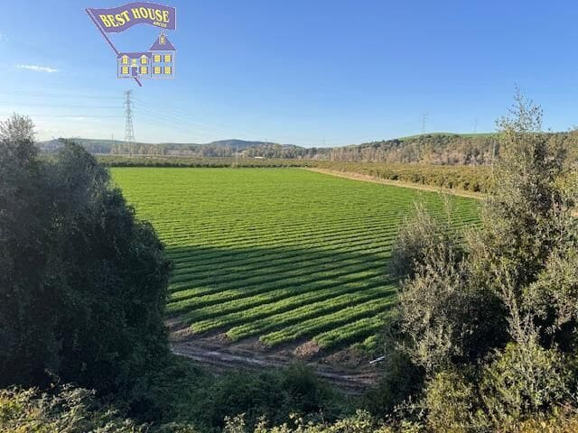 Undeveloped Land for sale in Arcos de la Frontera - € 260,000 (Ref: 9652205)