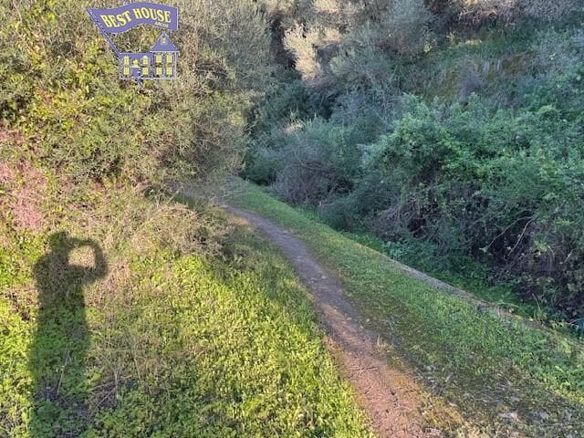 Undeveloped Land for sale in Arcos de la Frontera - € 260,000 (Ref: 9652205)