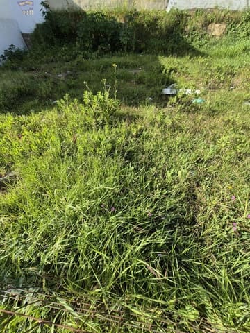 Byggegrund til salg i Arcos de la Frontera - € 33.900 (Ref: 9715122)