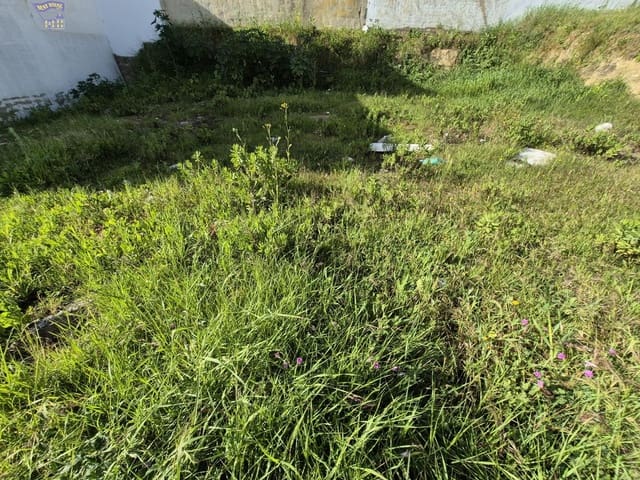 Byggegrund til salg i Arcos de la Frontera - € 33.900 (Ref: 9715122)