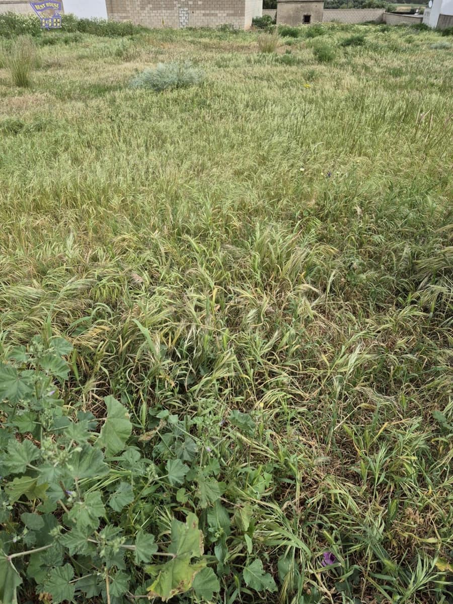 Terrain à Bâtir à vendre à Arcos de la Frontera - 325 000 € (Ref: 9762153)