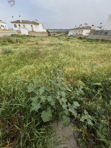 Terrain à Bâtir à vendre à Arcos de la Frontera - 325 000 € (Ref: 9762153)