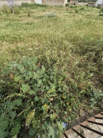 Terrain à Bâtir à vendre à Arcos de la Frontera - 325 000 € (Ref: 9762153)