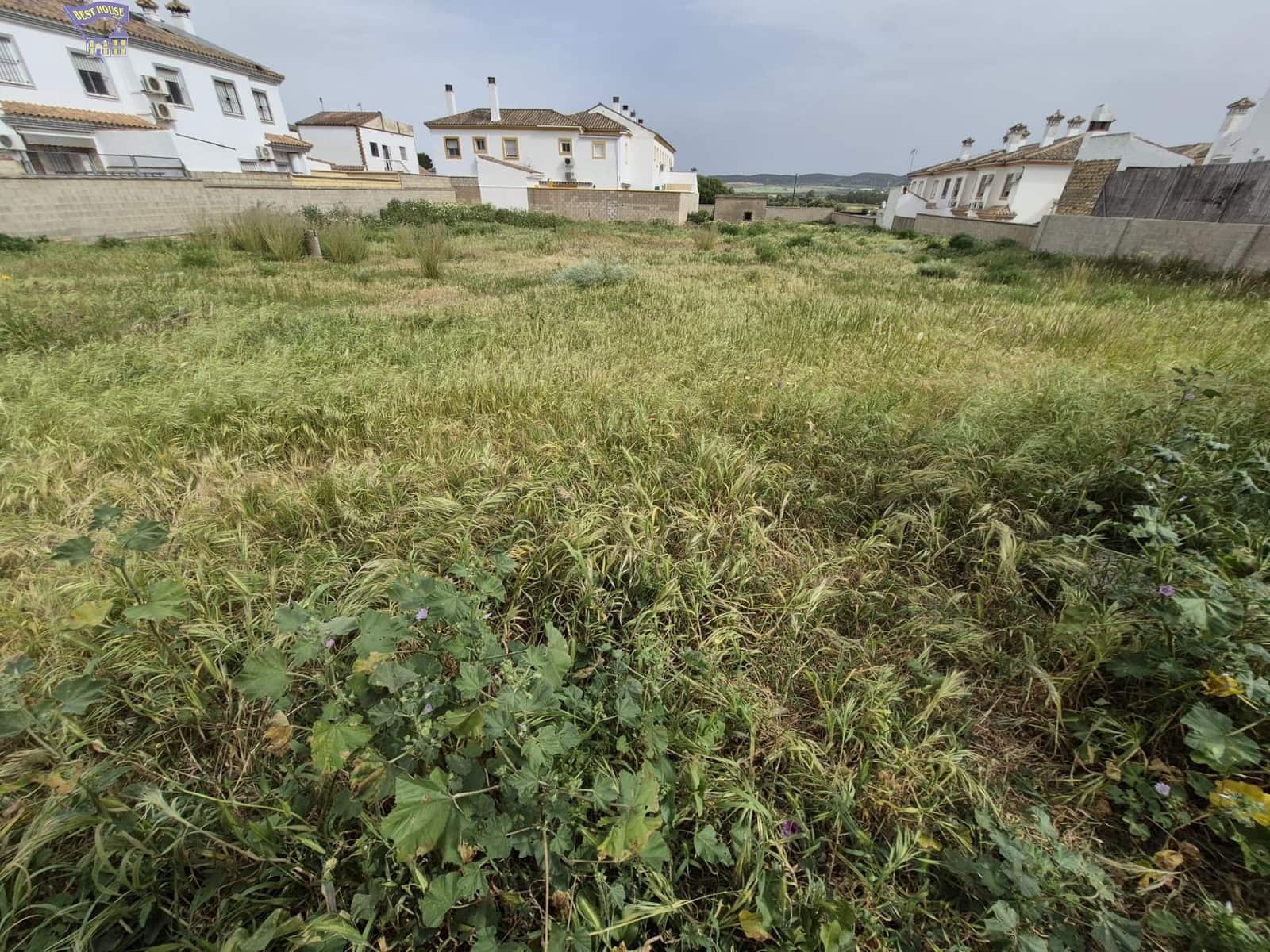 Terrain à Bâtir à vendre à Arcos de la Frontera - 325 000 € (Ref: 9762153)