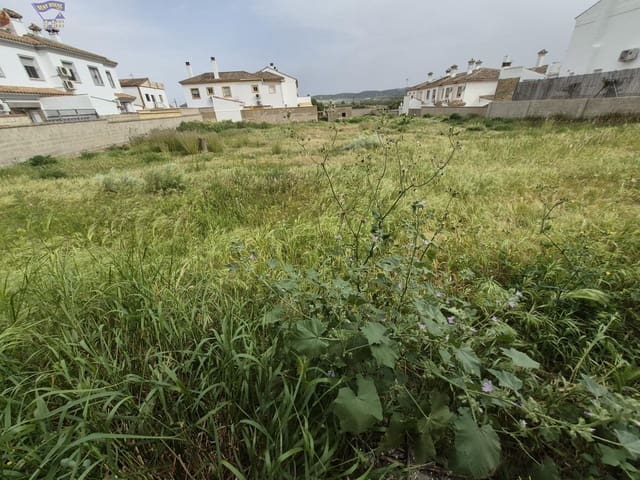 Terrain à Bâtir à vendre à Arcos de la Frontera - 325 000 € (Ref: 9762153)