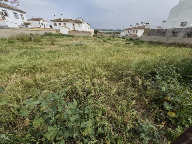 Terrain à Bâtir à vendre à Arcos de la Frontera - 325 000 € (Ref: 9762153)