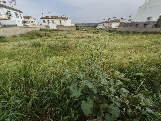 Terrain à Bâtir à vendre à Arcos de la Frontera - 325 000 € (Ref: 9762153)