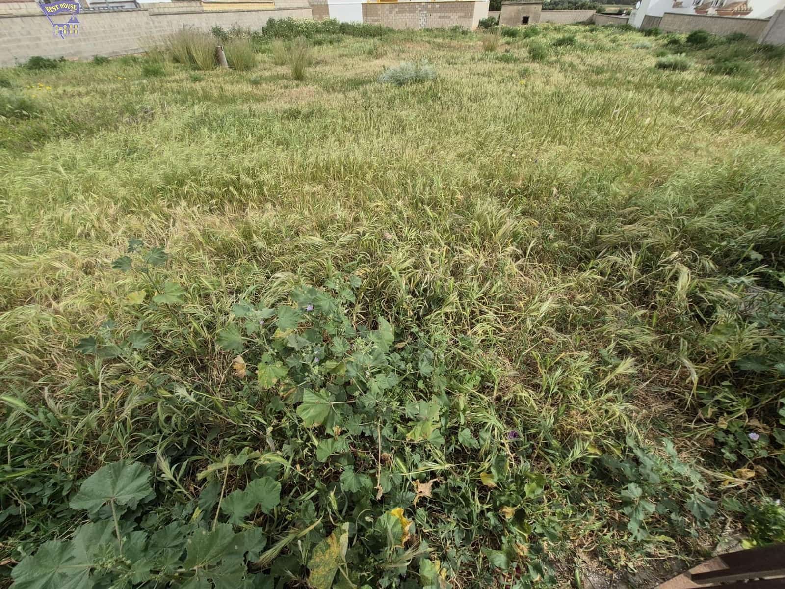 Terrain à Bâtir à vendre à Arcos de la Frontera - 325 000 € (Ref: 9762153)