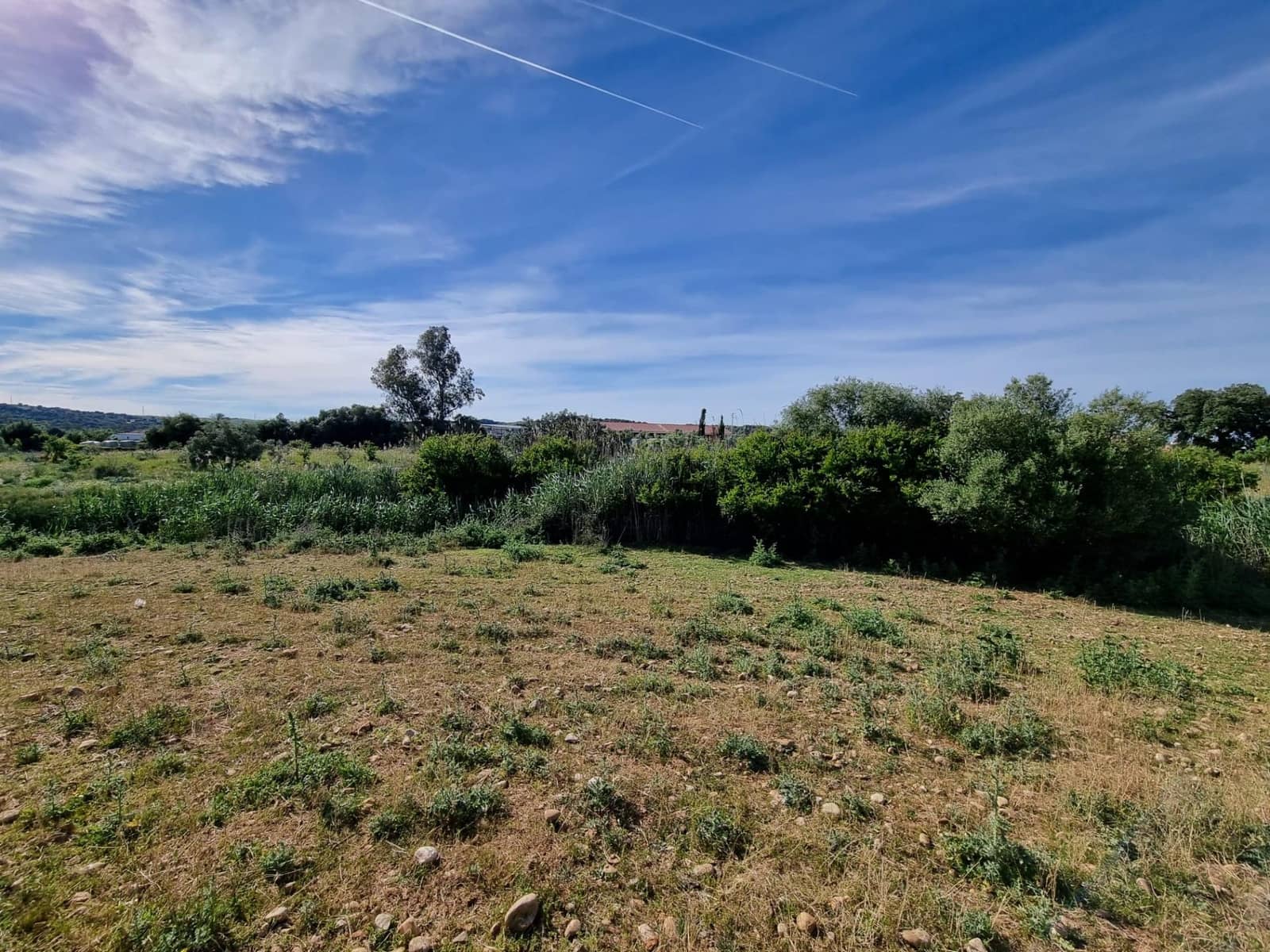 2 bedroom Finca/Country House for sale in Arcos de la Frontera - € 130,000 (Ref: 9786992)