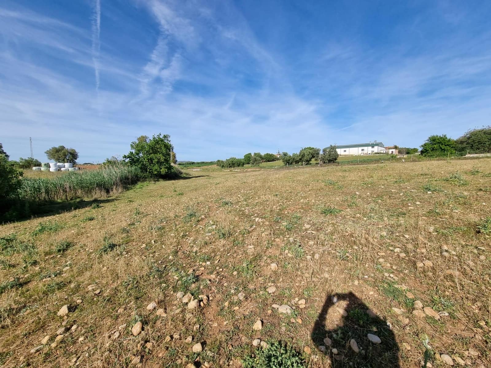 2 bedroom Finca/Country House for sale in Arcos de la Frontera - € 130,000 (Ref: 9786992)