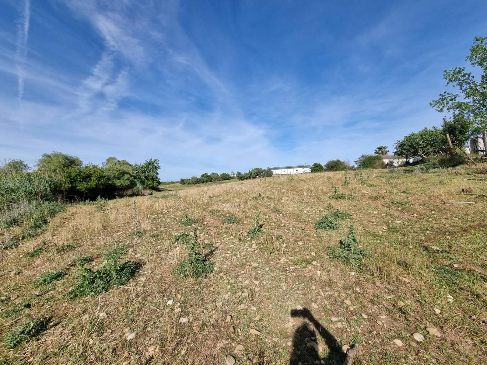 2 bedroom Finca/Country House for sale in Arcos de la Frontera - € 130,000 (Ref: 9786992)