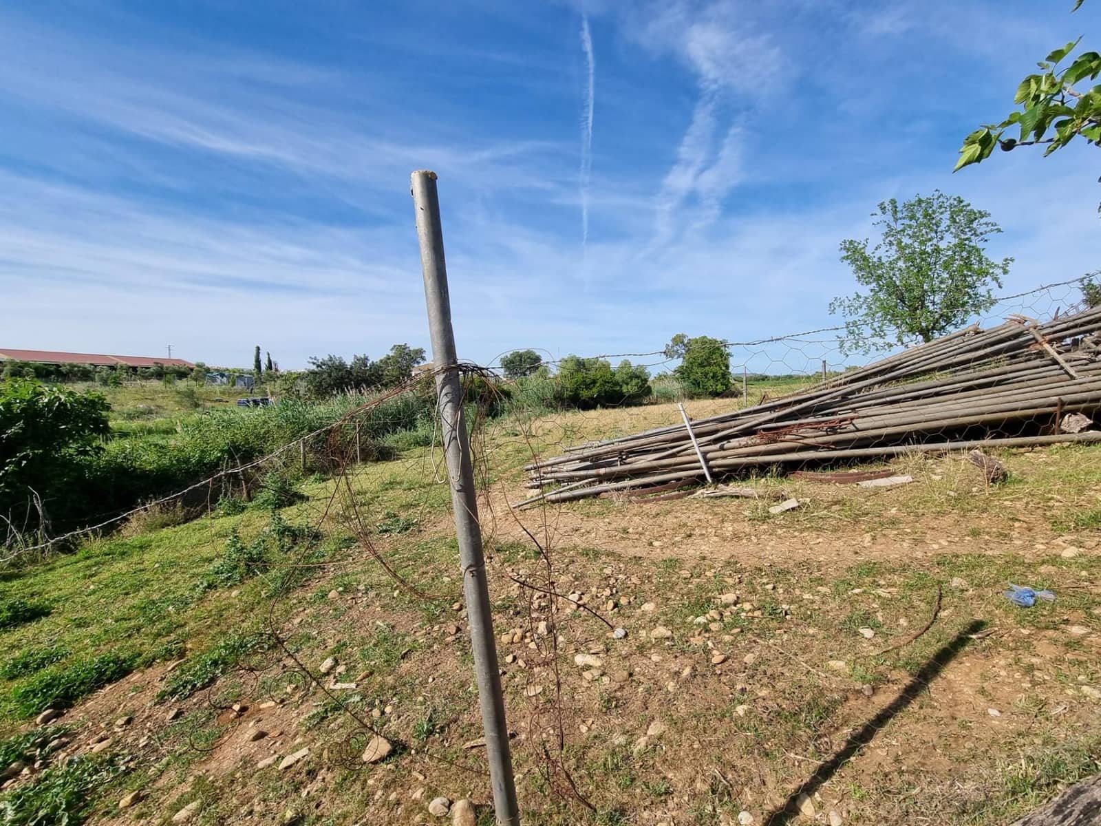 2 bedroom Finca/Country House for sale in Arcos de la Frontera - € 130,000 (Ref: 9786992)