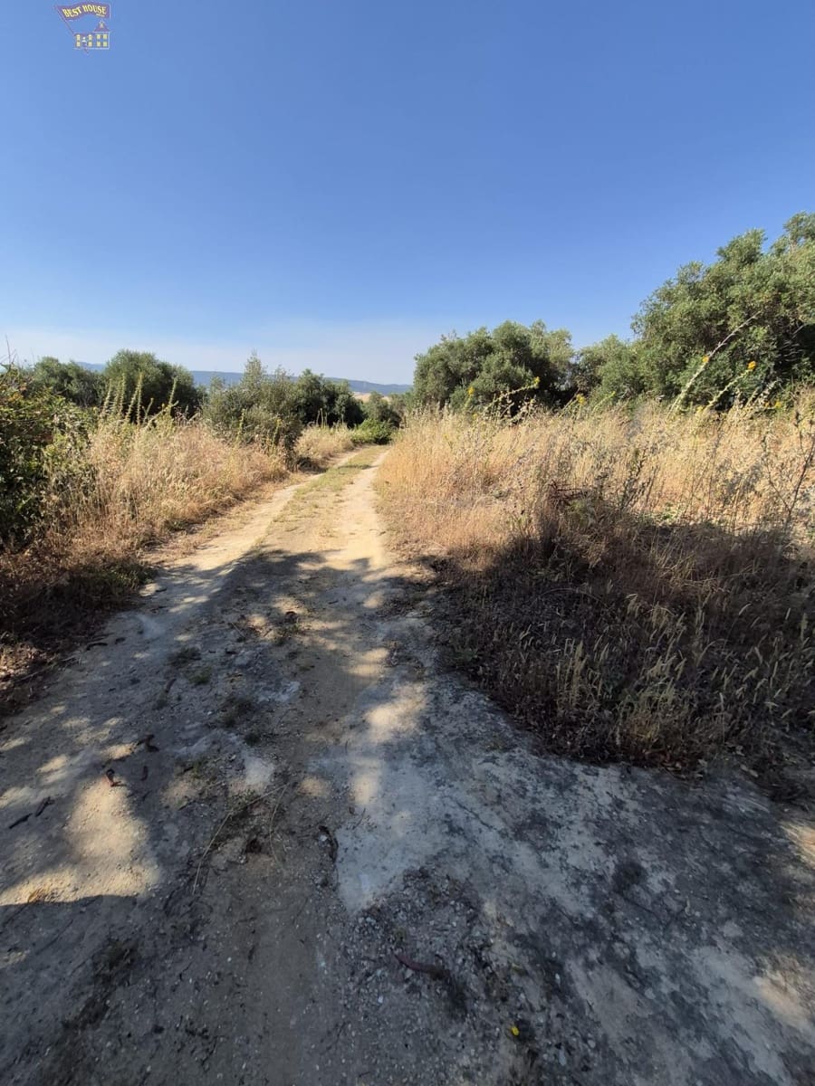 4 soveværelse Finca/Landehus til salg i Arcos de la Frontera - € 160.000 (Ref: 9916053)
