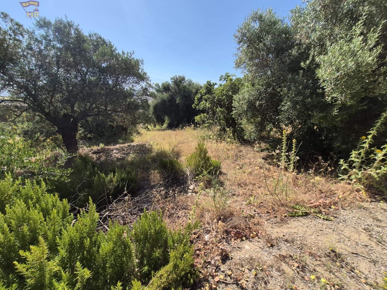 4 soveværelse Finca/Landehus til salg i Arcos de la Frontera - € 160.000 (Ref: 9916053)
