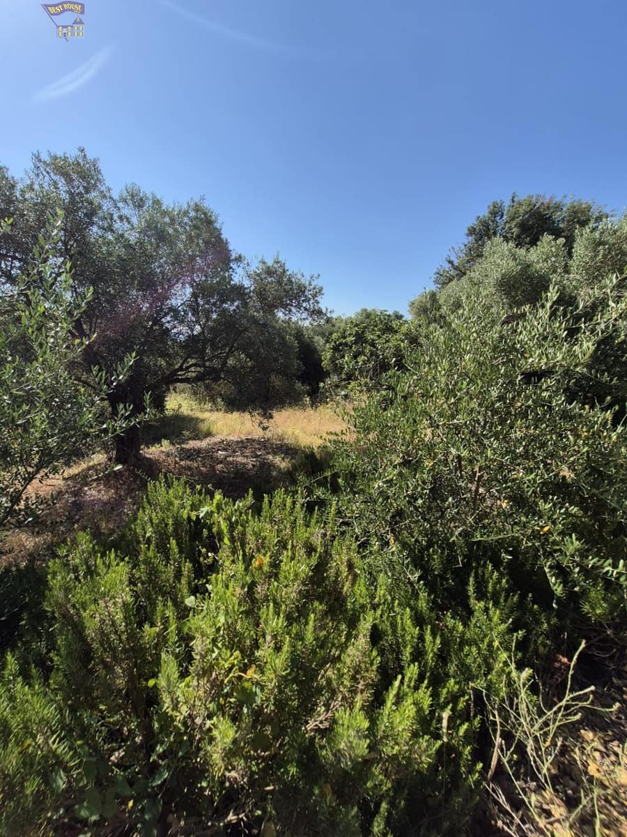 4 soveværelse Finca/Landehus til salg i Arcos de la Frontera - € 160.000 (Ref: 9916053)