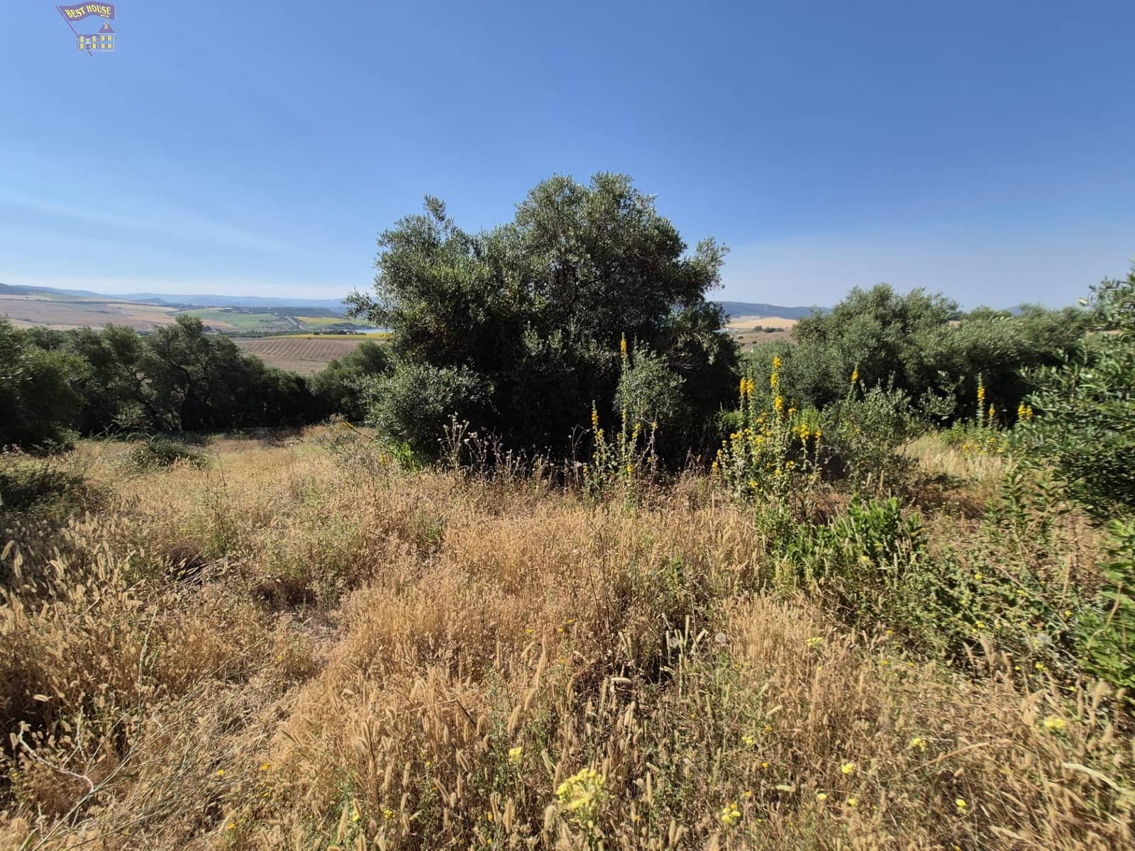 4 soveværelse Finca/Landehus til salg i Arcos de la Frontera - € 160.000 (Ref: 9916053)