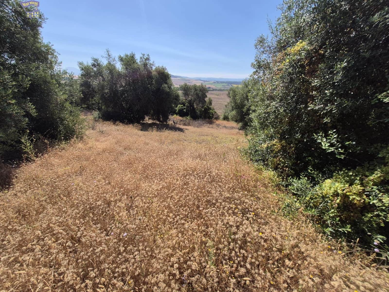 4 soveværelse Finca/Landehus til salg i Arcos de la Frontera - € 160.000 (Ref: 9916053)