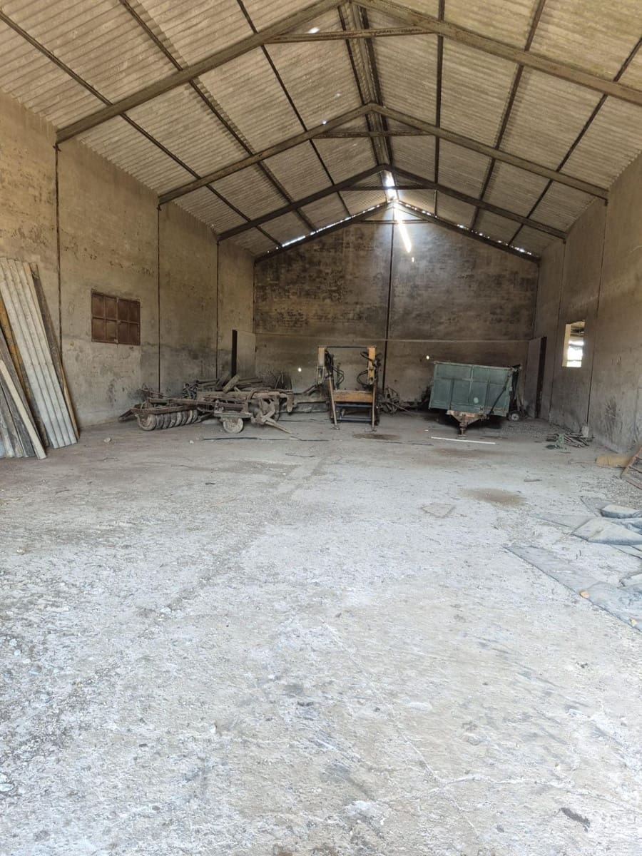 Business for rent in Arcos de la Frontera - € 600 (Ref: 9942712)
