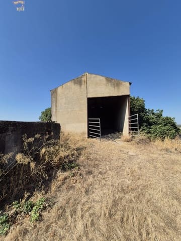 Biznes do wynajęcia w Arcos de la Frontera - 500 € (Ref: 9942713)