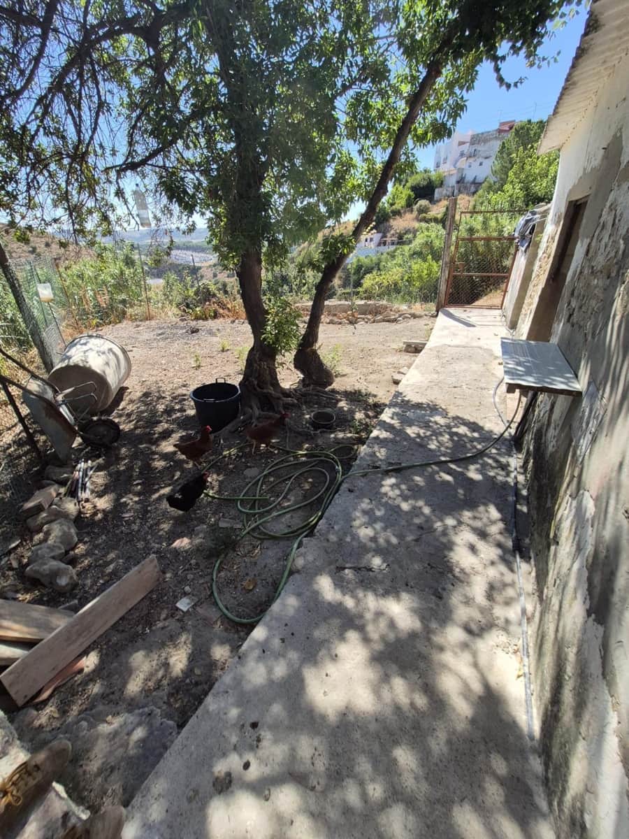 Terreno/Finca Rústica en Arcos de la Frontera en venta - 50.000 € (Ref: 9965467)