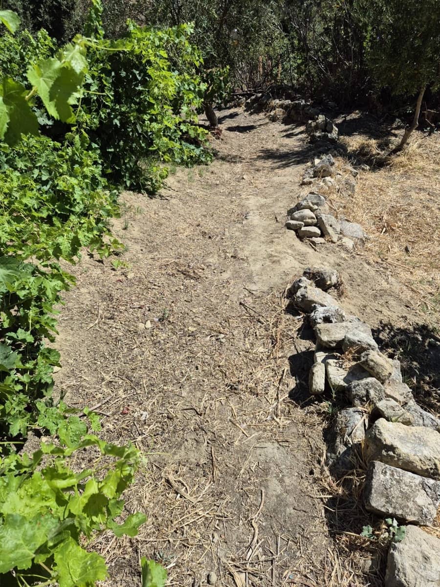 Terreno/Finca Rústica en Arcos de la Frontera en venta - 50.000 € (Ref: 9965467)