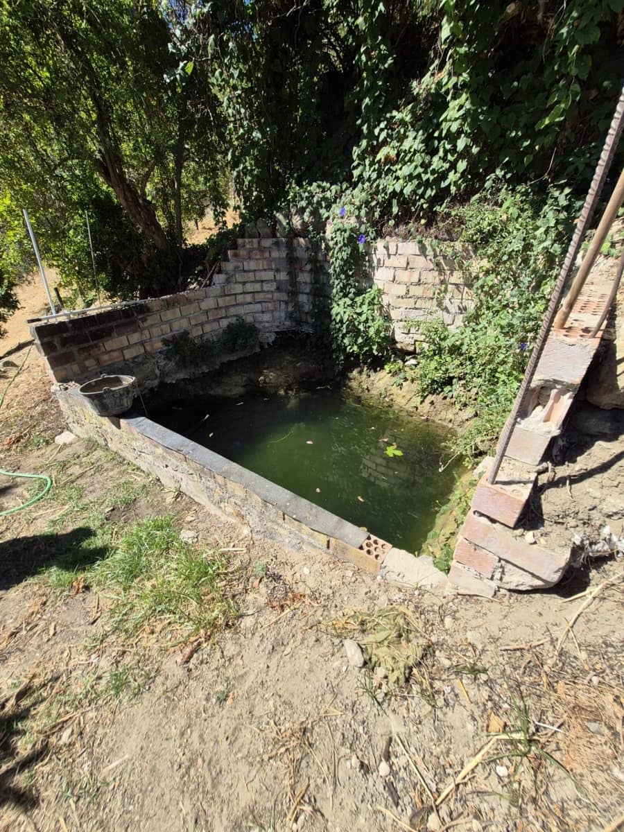 Terreno/Finca Rústica en Arcos de la Frontera en venta - 50.000 € (Ref: 9965467)