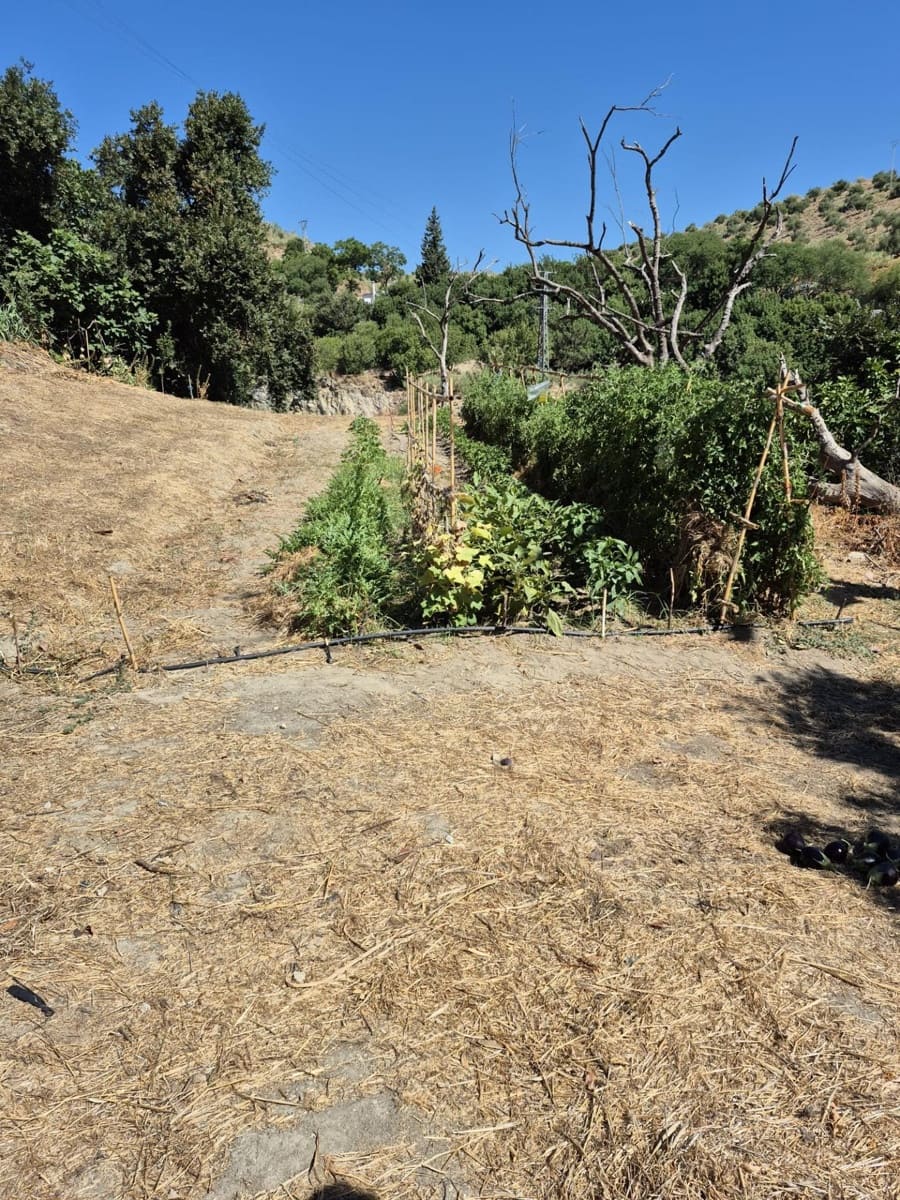 Terreno/Finca Rústica en Arcos de la Frontera en venta - 50.000 € (Ref: 9965467)