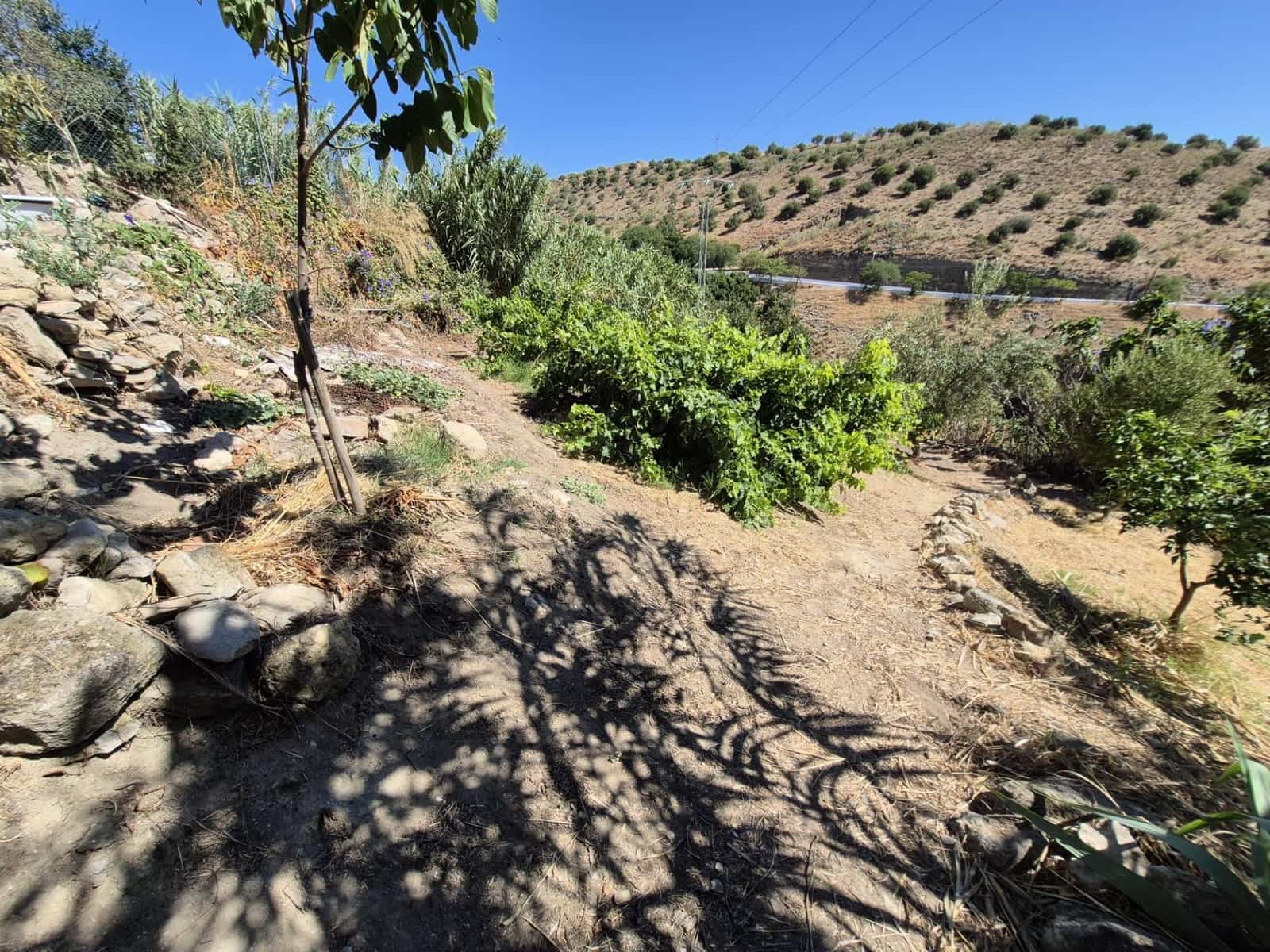 Terreno/Finca Rústica en Arcos de la Frontera en venta - 50.000 € (Ref: 9965467)