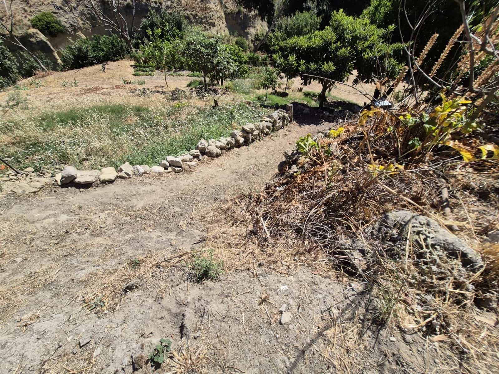 Terreno/Finca Rústica en Arcos de la Frontera en venta - 50.000 € (Ref: 9965467)