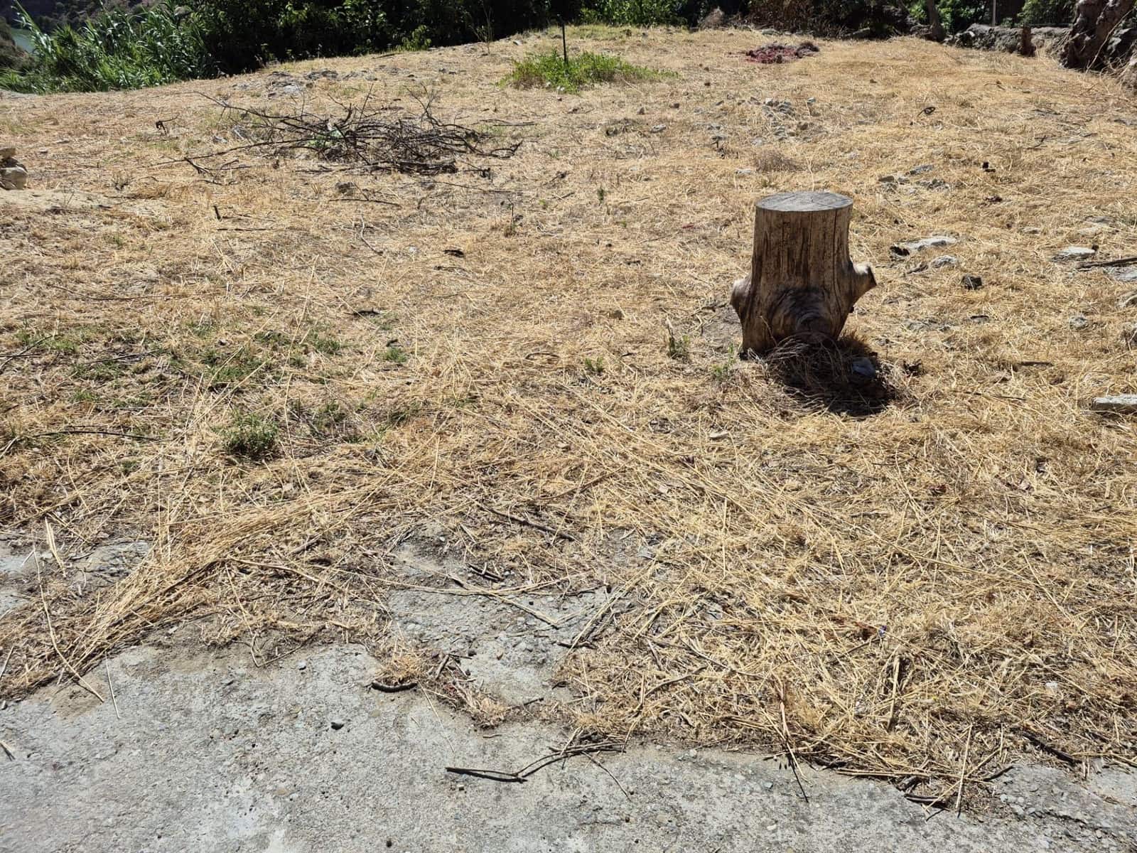Terreno/Finca Rústica en Arcos de la Frontera en venta - 50.000 € (Ref: 9965467)