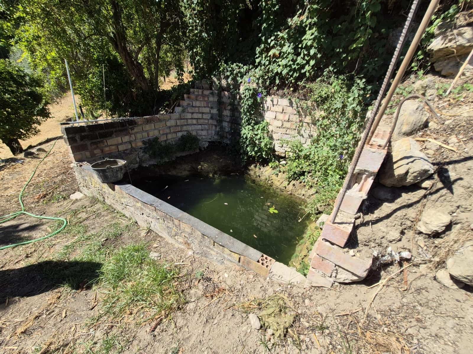 Terreno/Finca Rústica en Arcos de la Frontera en venta - 50.000 € (Ref: 9965467)