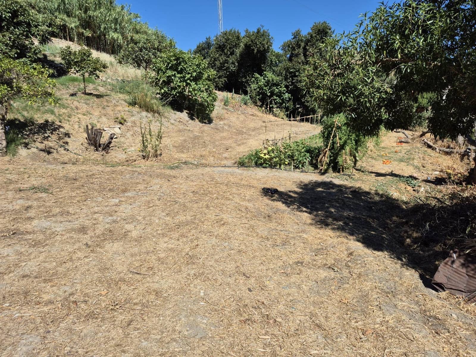 Terreno/Finca Rústica en Arcos de la Frontera en venta - 50.000 € (Ref: 9965467)