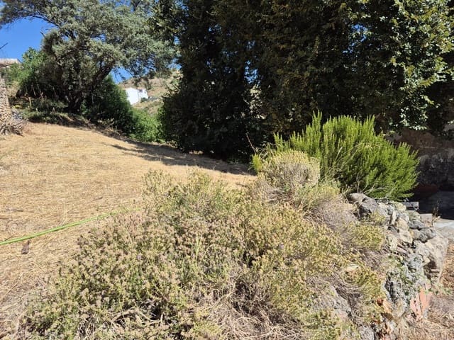 Grond te koop in Arcos de la Frontera - € 50.000 (Ref: 9965467)