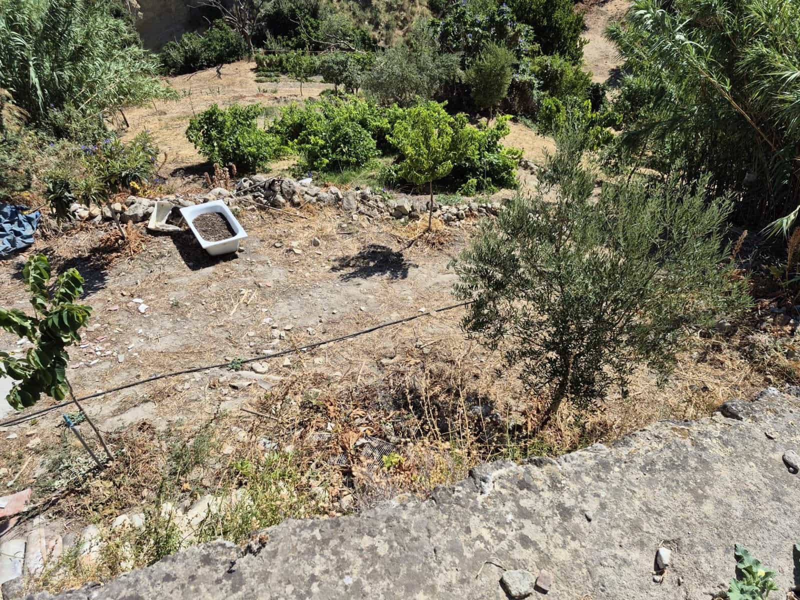 Terreno/Finca Rústica en Arcos de la Frontera en venta - 50.000 € (Ref: 9965467)