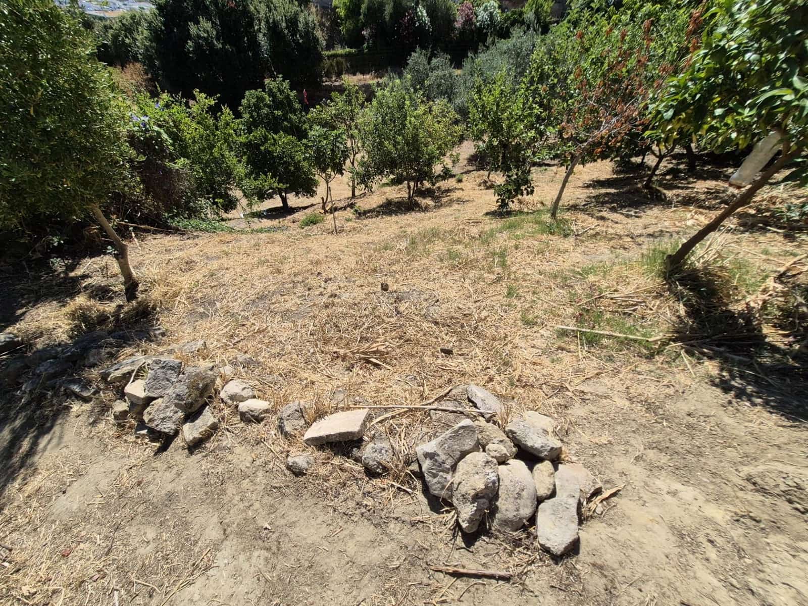 Terreno/Finca Rústica en Arcos de la Frontera en venta - 50.000 € (Ref: 9965467)