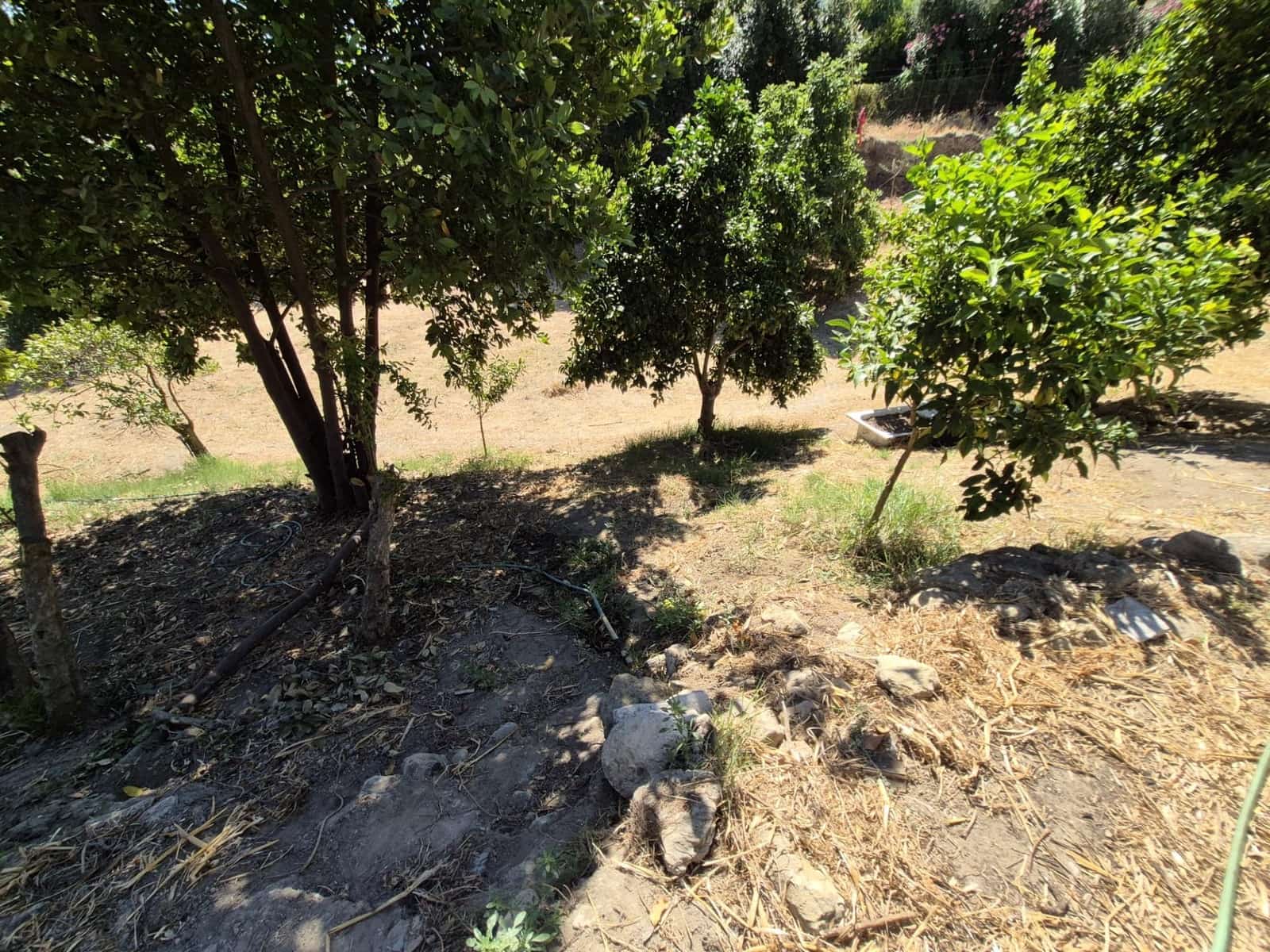 Terreno/Finca Rústica en Arcos de la Frontera en venta - 50.000 € (Ref: 9965467)