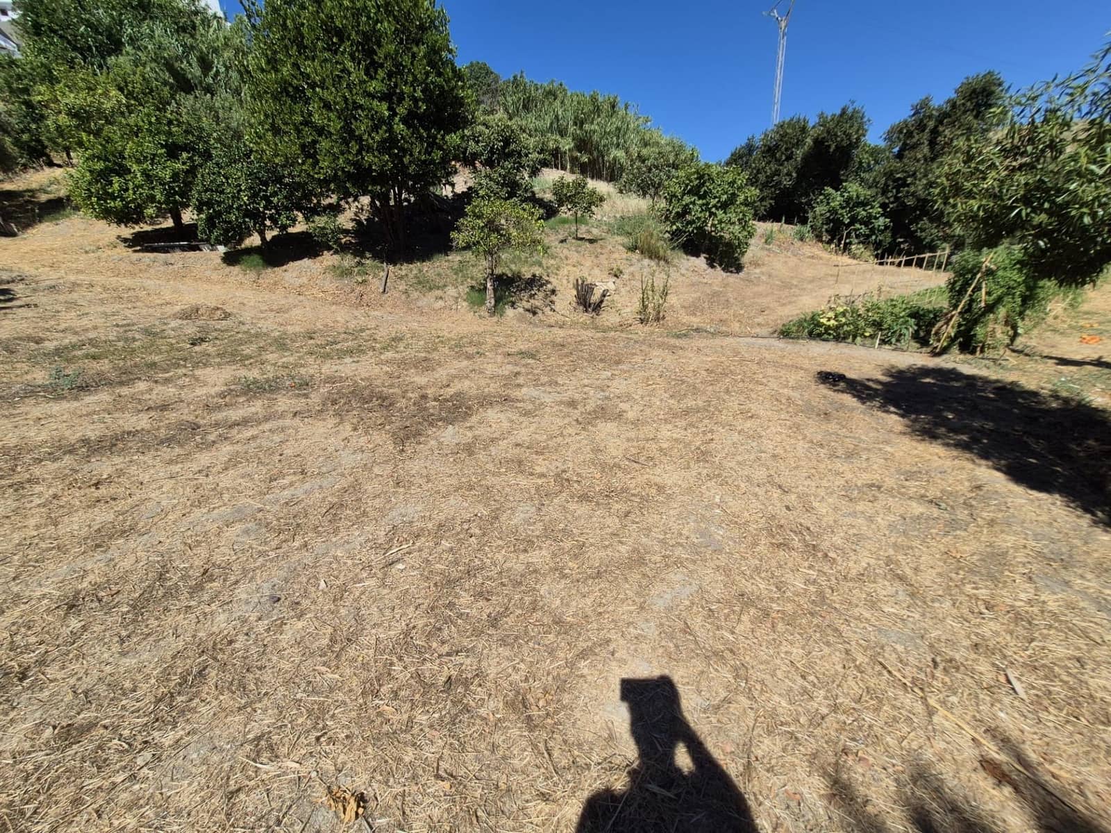 Terreno/Finca Rústica en Arcos de la Frontera en venta - 50.000 € (Ref: 9965467)