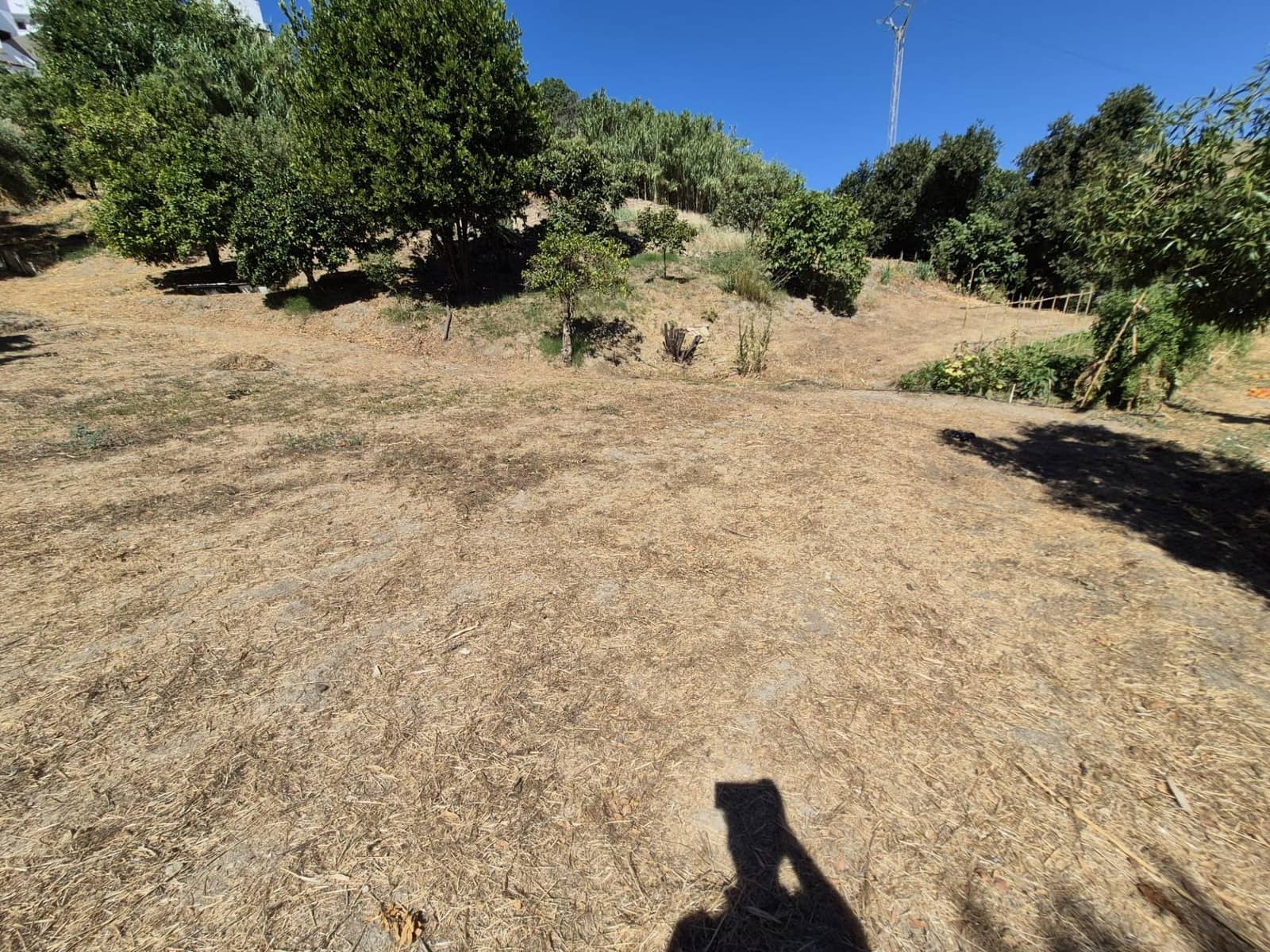 Terreno/Finca Rústica en Arcos de la Frontera en venta - 50.000 € (Ref: 9965467)