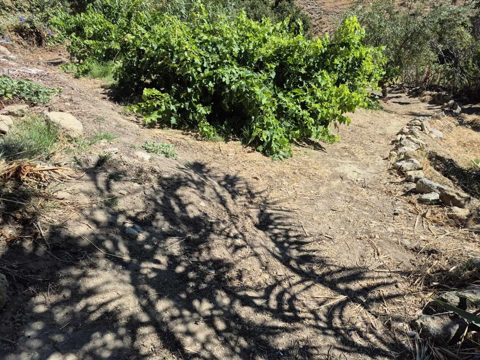 Terreno/Finca Rústica en Arcos de la Frontera en venta - 50.000 € (Ref: 9965467)