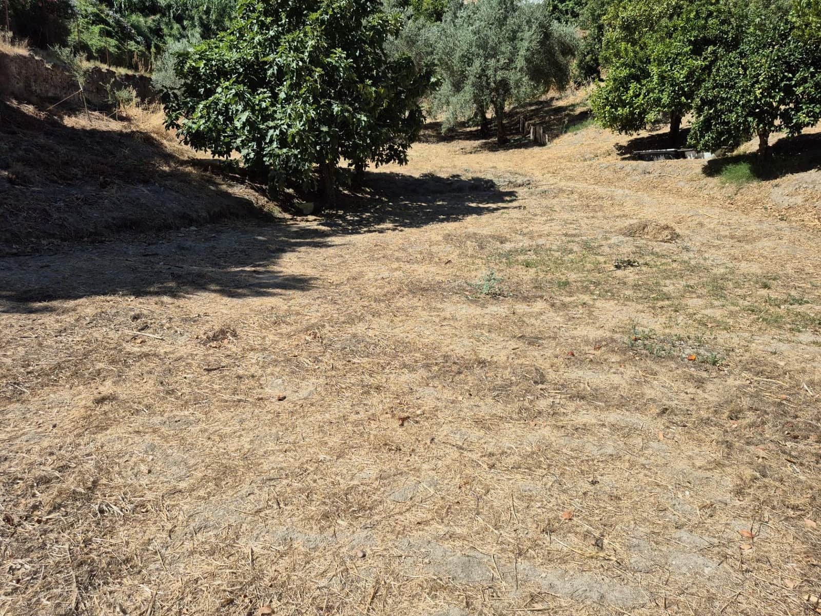 Terreno/Finca Rústica en Arcos de la Frontera en venta - 50.000 € (Ref: 9965467)