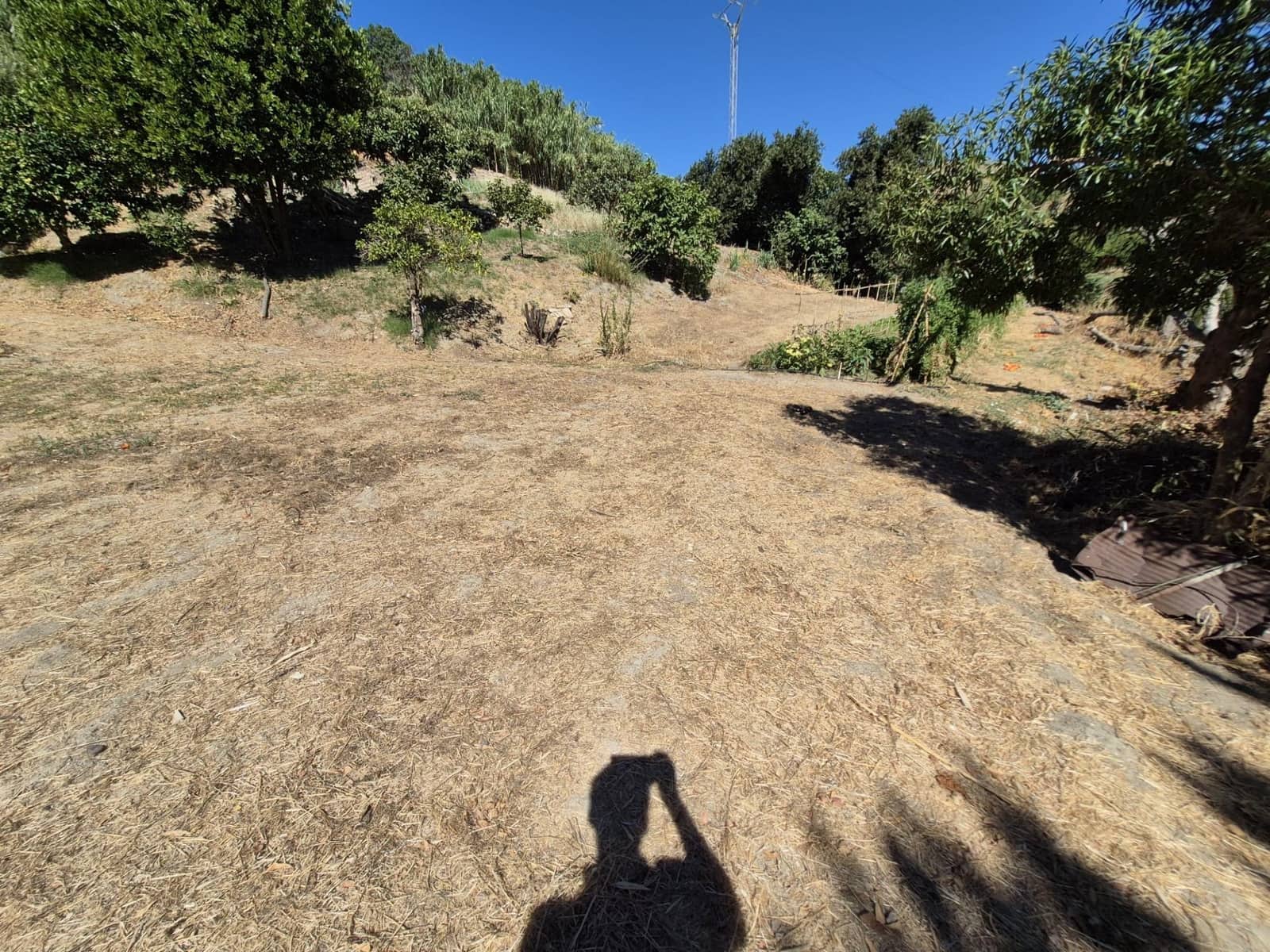 Terreno/Finca Rústica en Arcos de la Frontera en venta - 50.000 € (Ref: 9965467)
