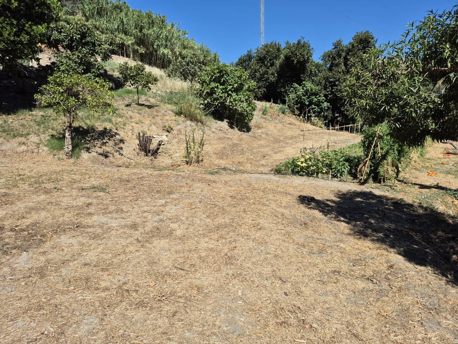 Terreno/Finca Rústica en Arcos de la Frontera en venta - 50.000 € (Ref: 9965467)