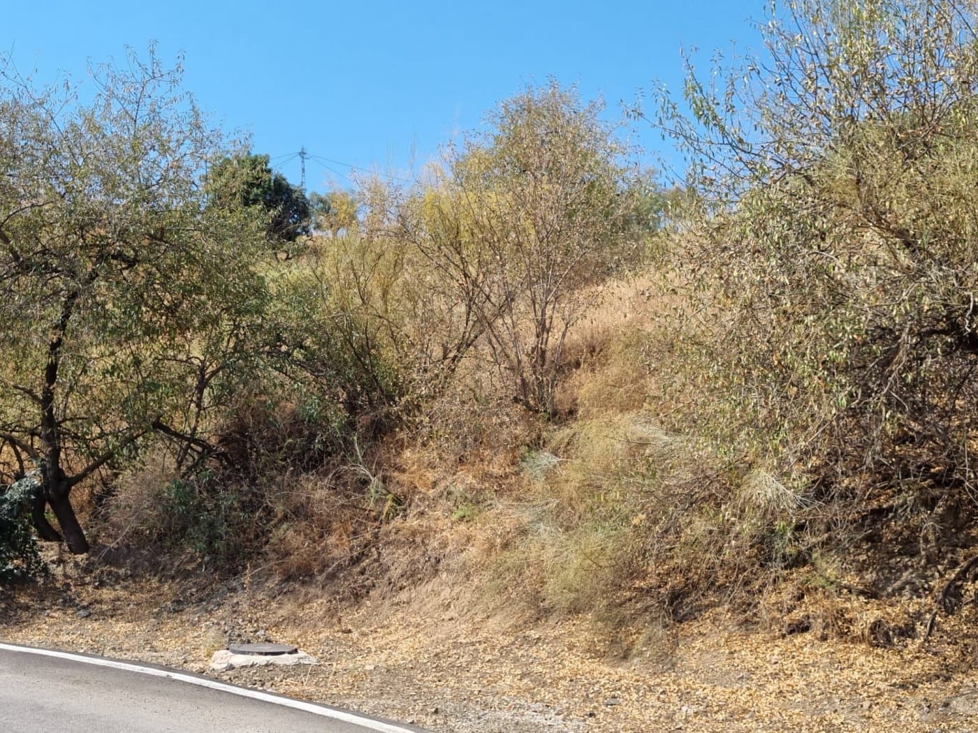 Byggegrund til salg i Los Romanes - € 159.000 (Ref: 6980792)