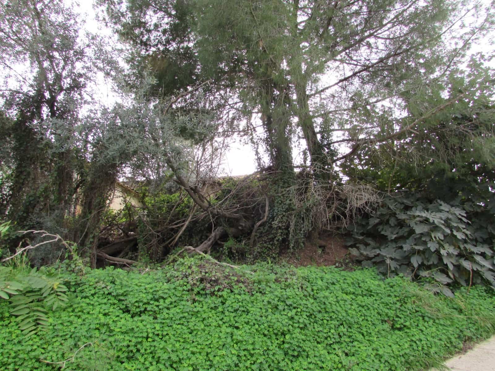 2 soveværelse Finca/Landehus til salg i Benamocarra - € 69.000 (Ref: 8691162)